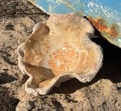 Keramikmuschel am Strand, handgemacht auf Lanzarote