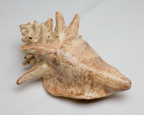 Shell 1728