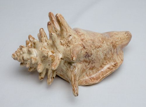 Shell 1728