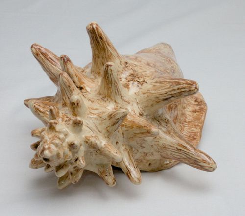 Shell 1728