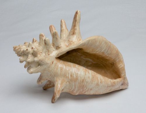 Shell 1728