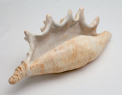 Shell 1727