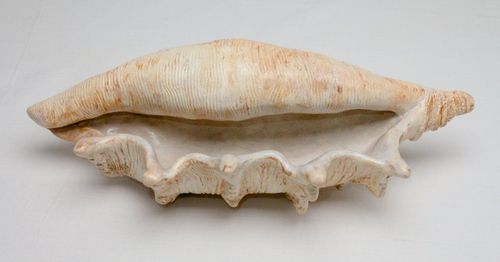 Shell 1727