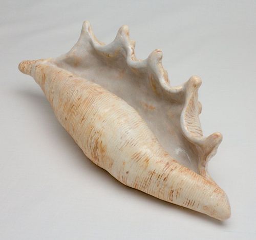 Shell 1727