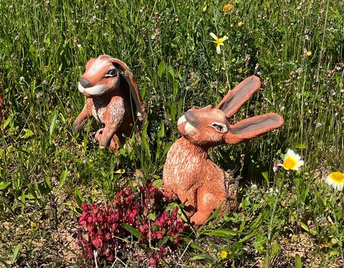 Rabbit